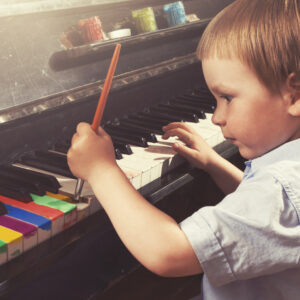 Hudobná náuka / výchova