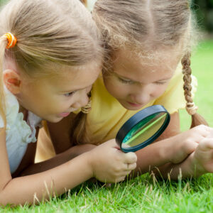 Príroda, svet a spoločnosť