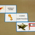 Domino - Vodné živočíchy (ukážka vybraných kariet)