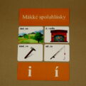 Slová s i/y po tvrdých a mäkkých spoluhláskach - priraďovanie kariet (i po mäkkých spoluhláskach)